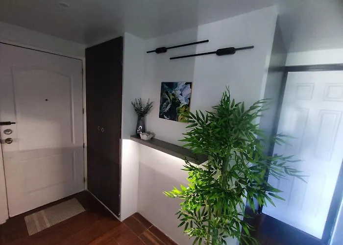 Two Bedroom - Presidio Lakefront 公寓 *